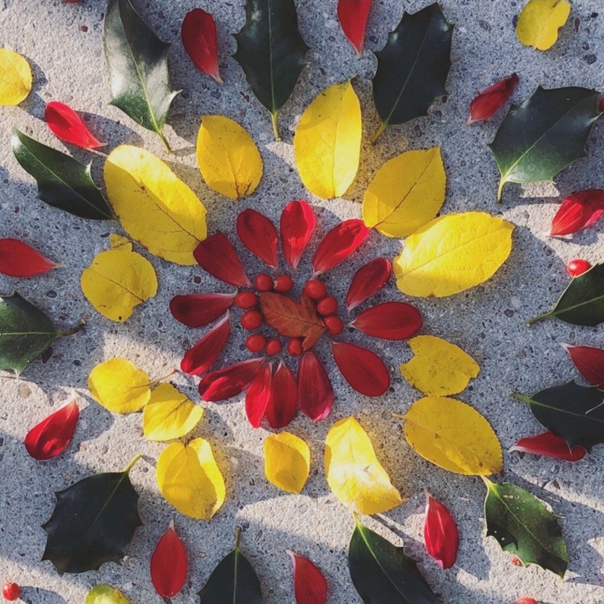 39FF0194-5A72-4A40-829D-2CBE822BC4B2